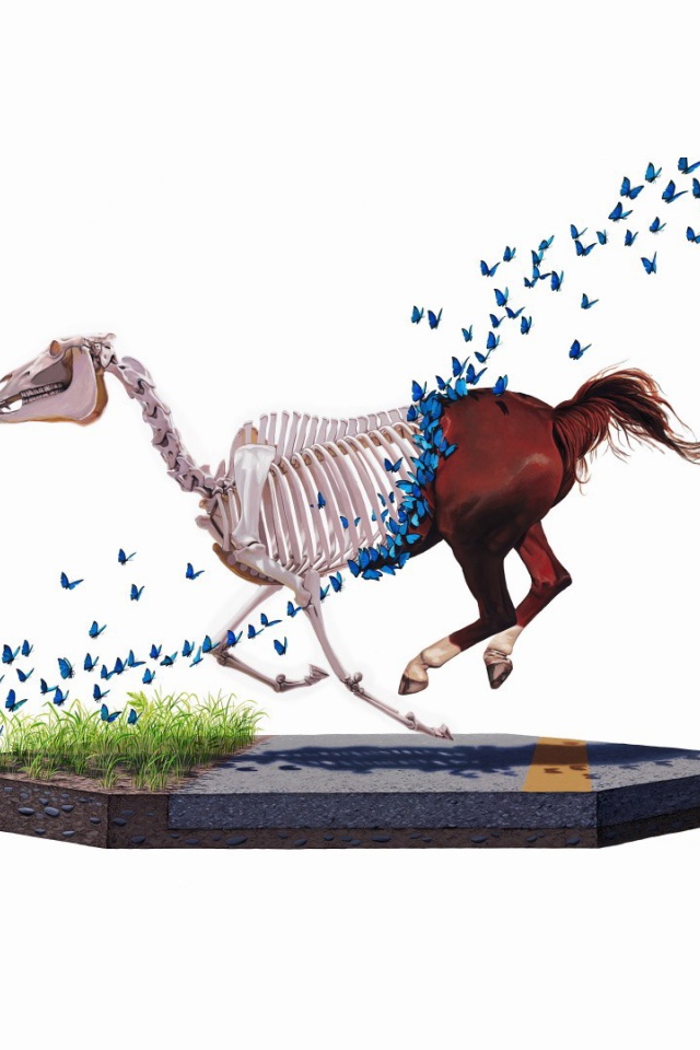 Бабочки съели лошадь