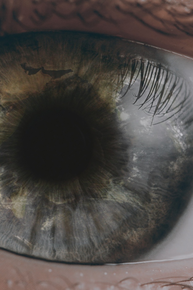 Открытый глаз человека