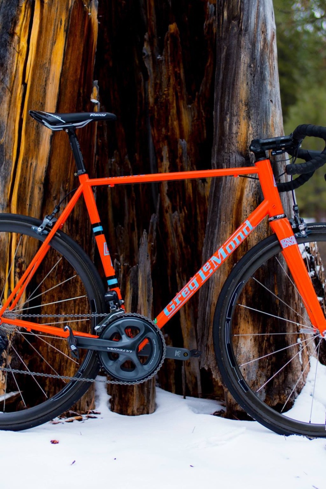 Оранжевый велосипед у дерева