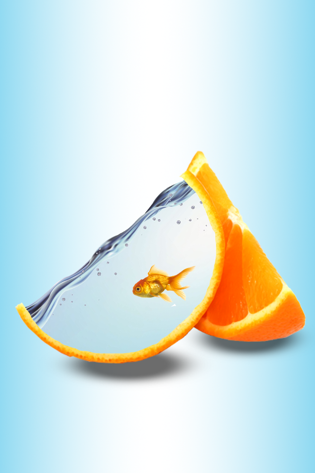 Долька апельсина в качестве аквариума