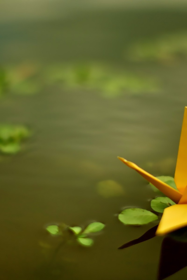 Оригами из желтой бумаги в воде