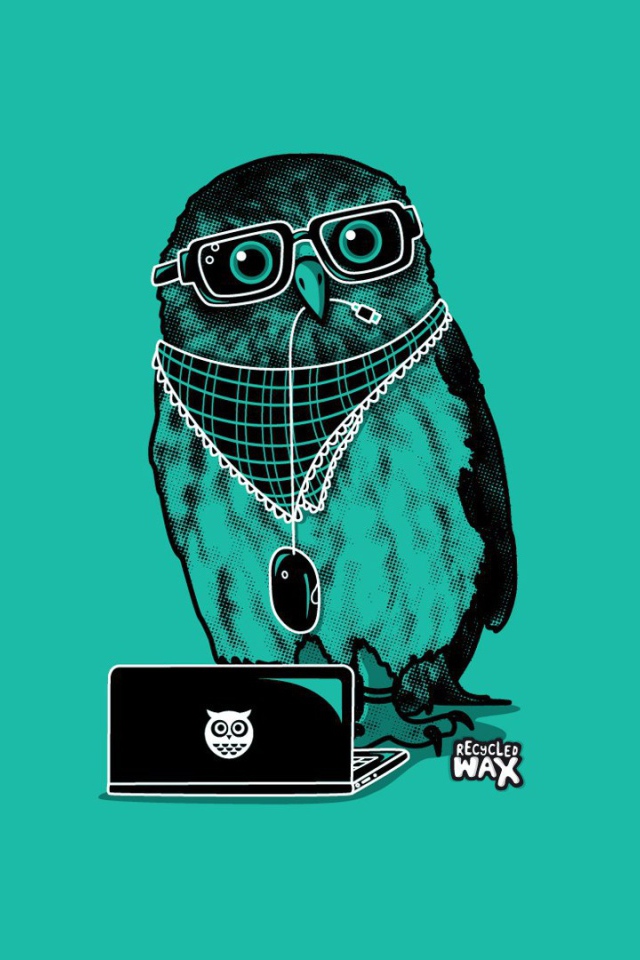 Сова в модной одежде