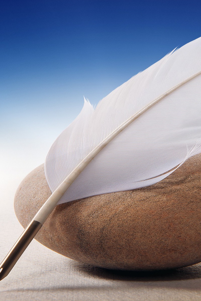 Перо для письма и морской камень