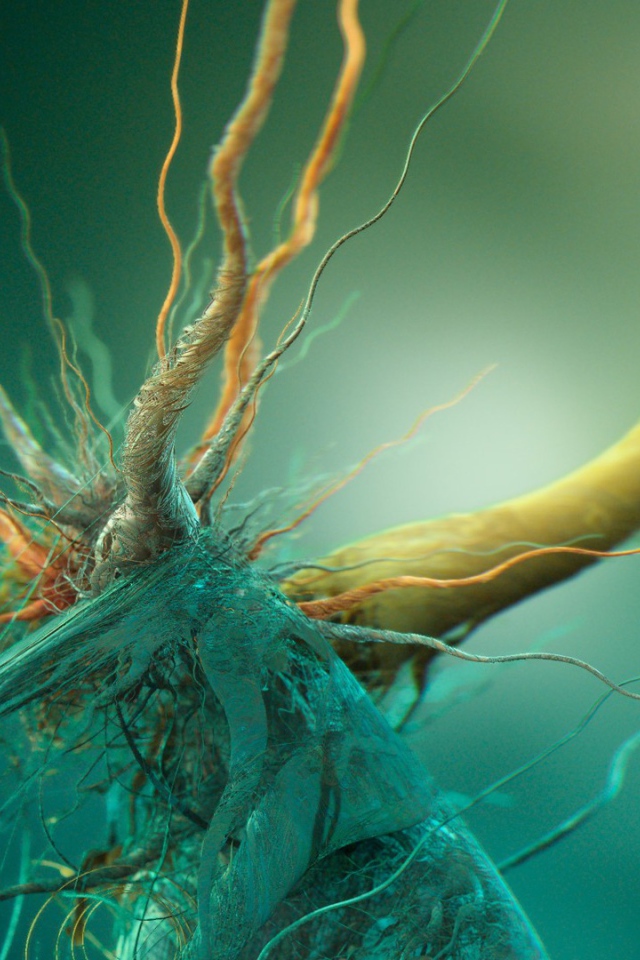 Фото микроорганизма под увеличением