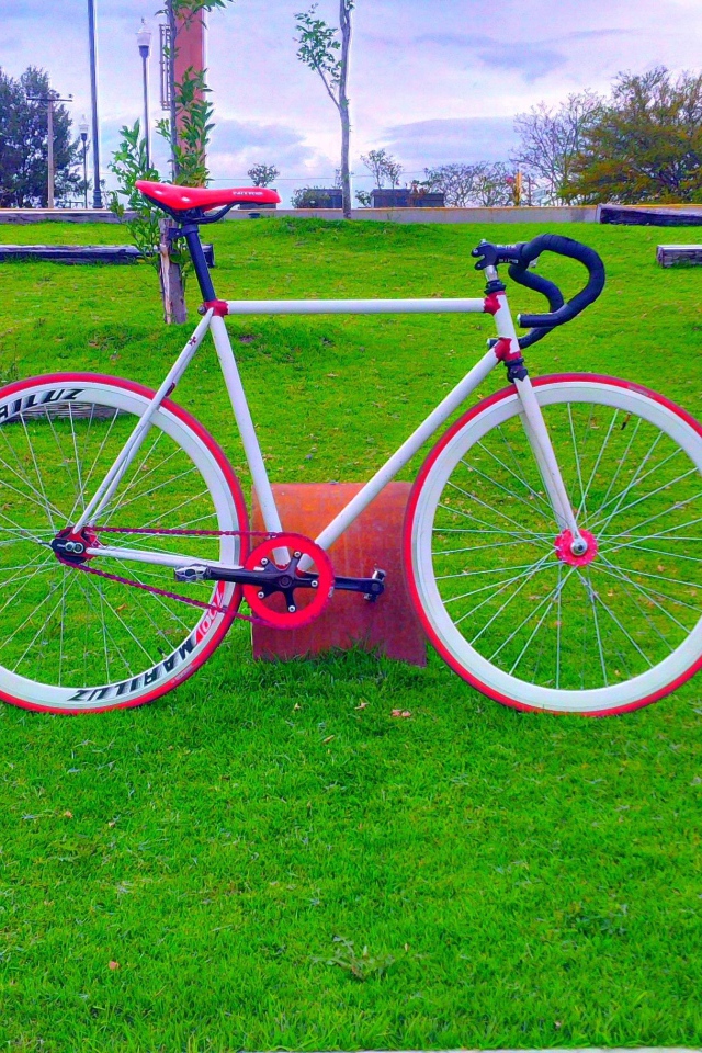 Розовый велосипед на зеленом газоне