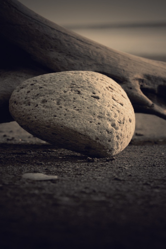 Пористый камень у сухой ветки