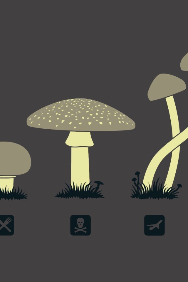 Предназначение разных грибов