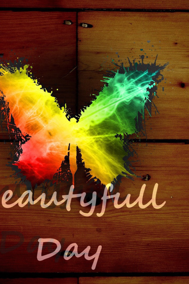 Радужная бабочка, прекрасный день