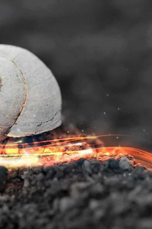 Стремительная огненная улитка