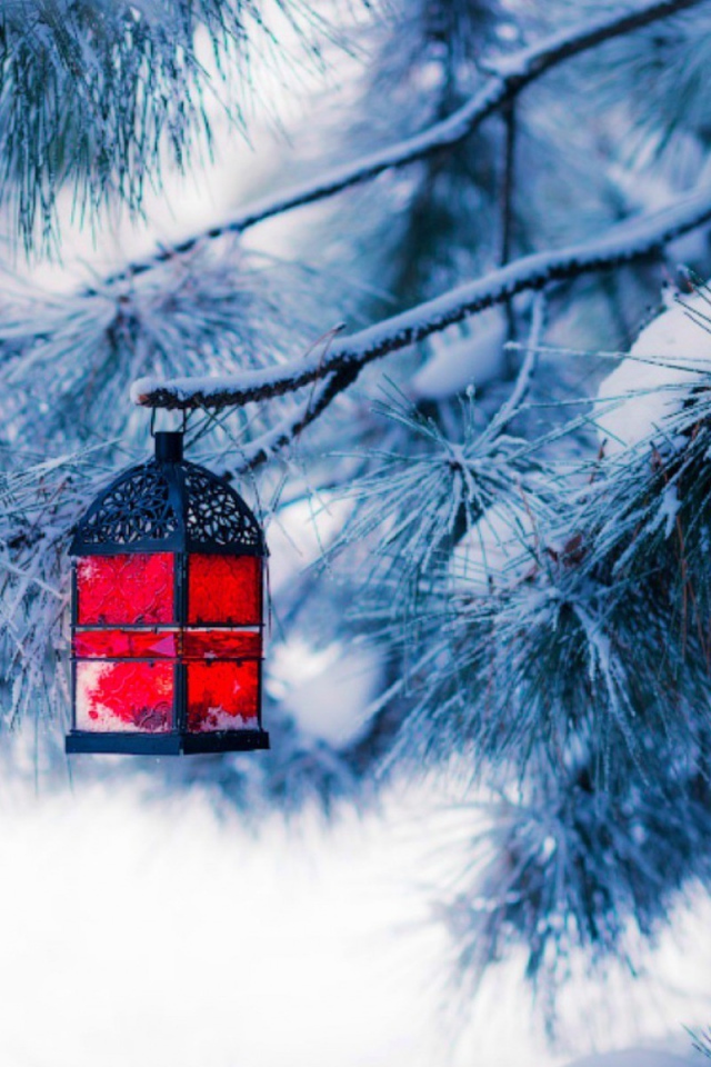 Красный фонарик на еловой ветке