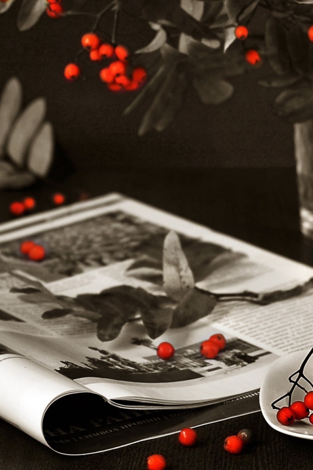 Ягоды рябины на столе и журнале