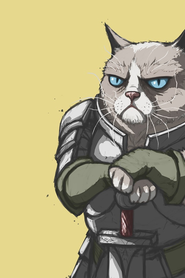 Грустный кот в доспехах