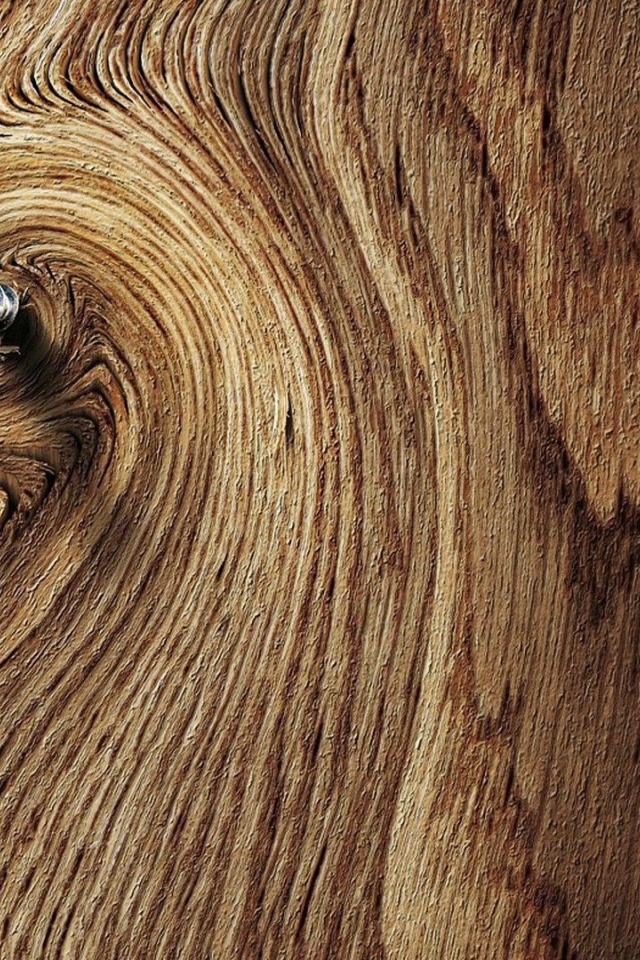 Шуруп в деревянной доске