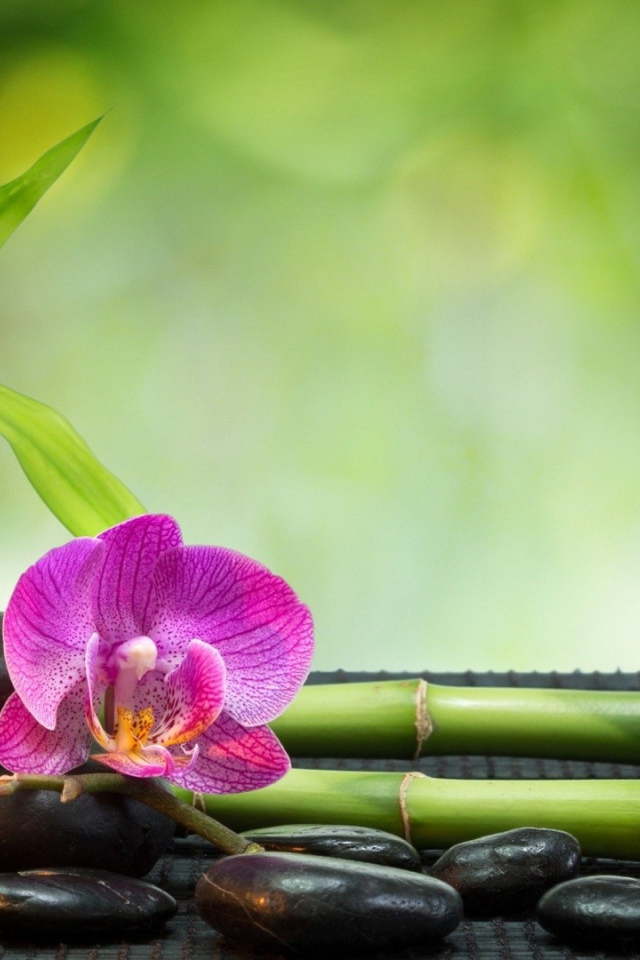 Набор для релаксации