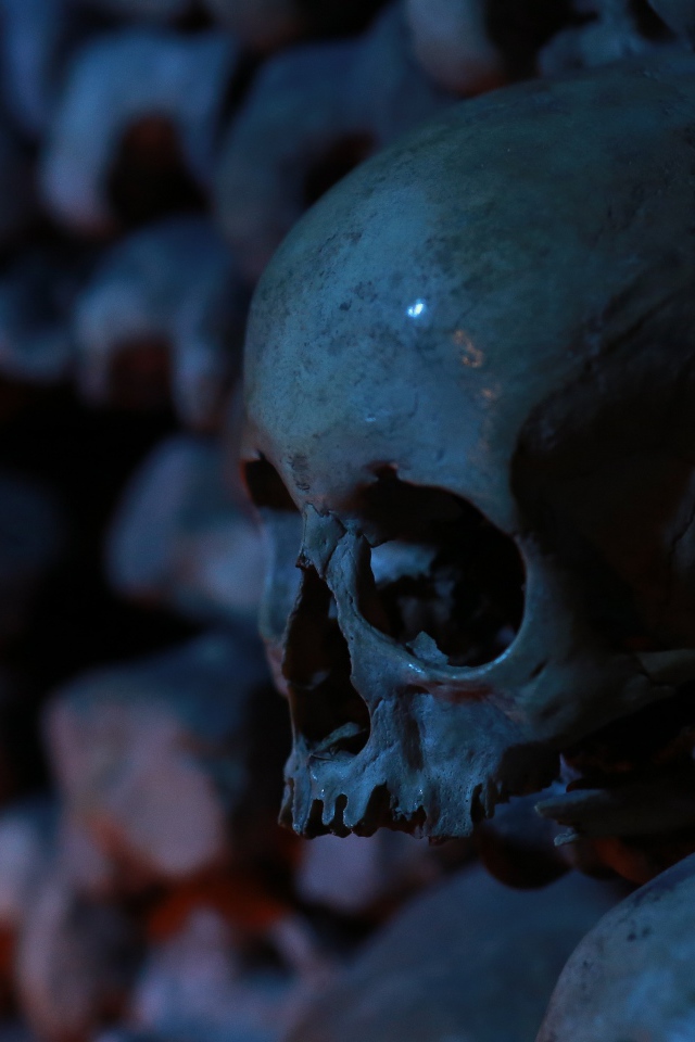 Череп среди костей в склепе