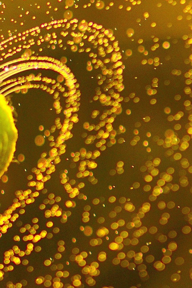 Мяч для тенниса в каплях влаги