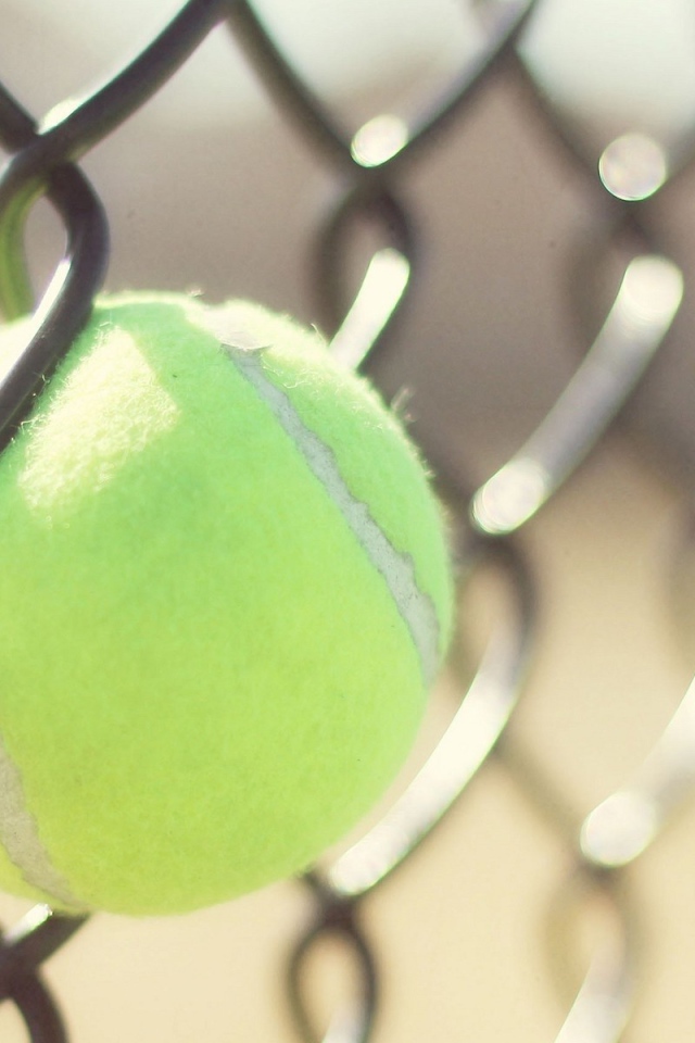 Мяч для тенниса застрял в решетке