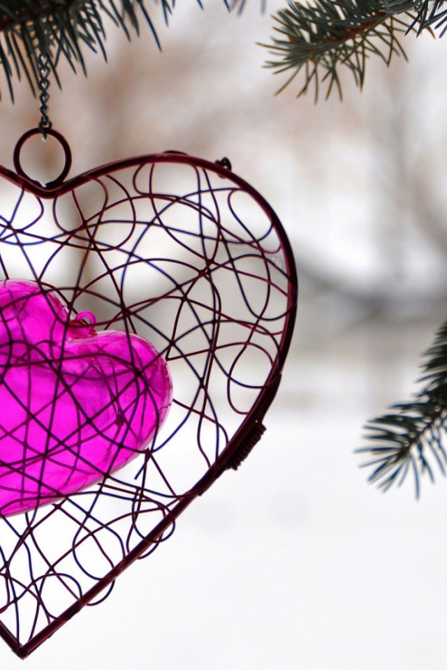 Украшение в виде сердца висит на ветке ели