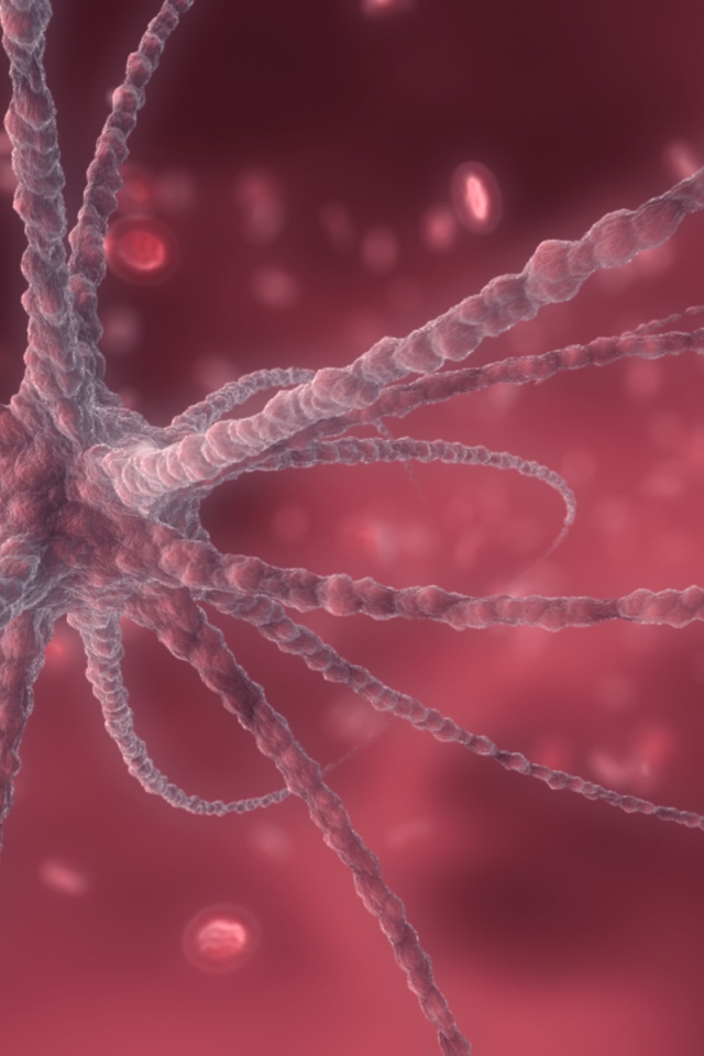 Изображение вируса, розовый фон