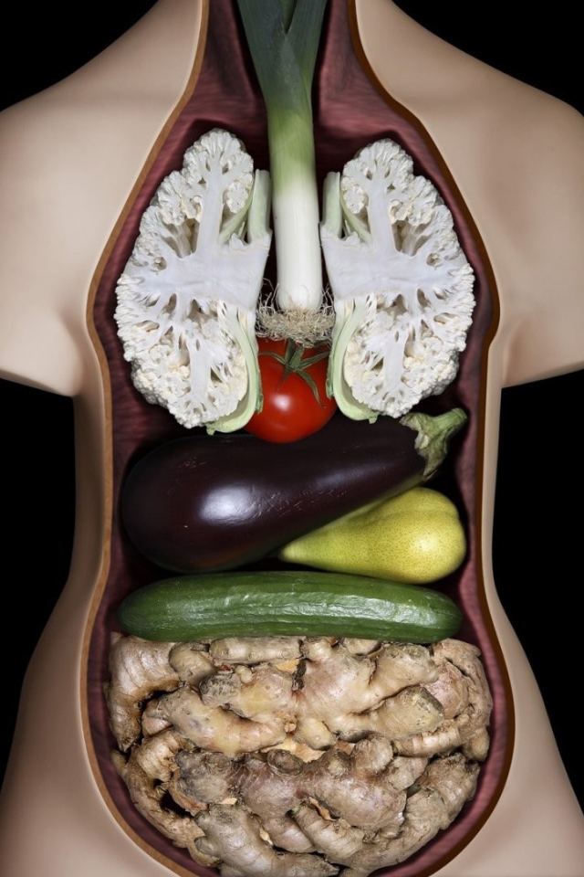 Внутренние органы из овощей