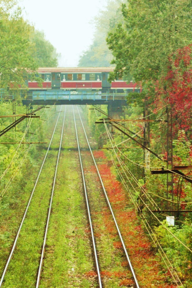 Пересечение железнодорожных путей