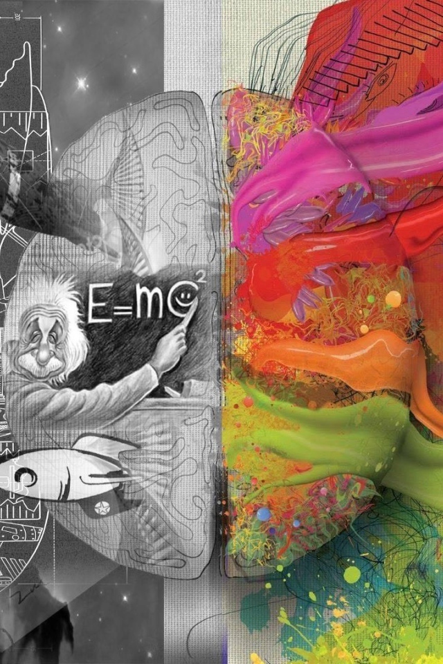 Левое и правое полушария мозга