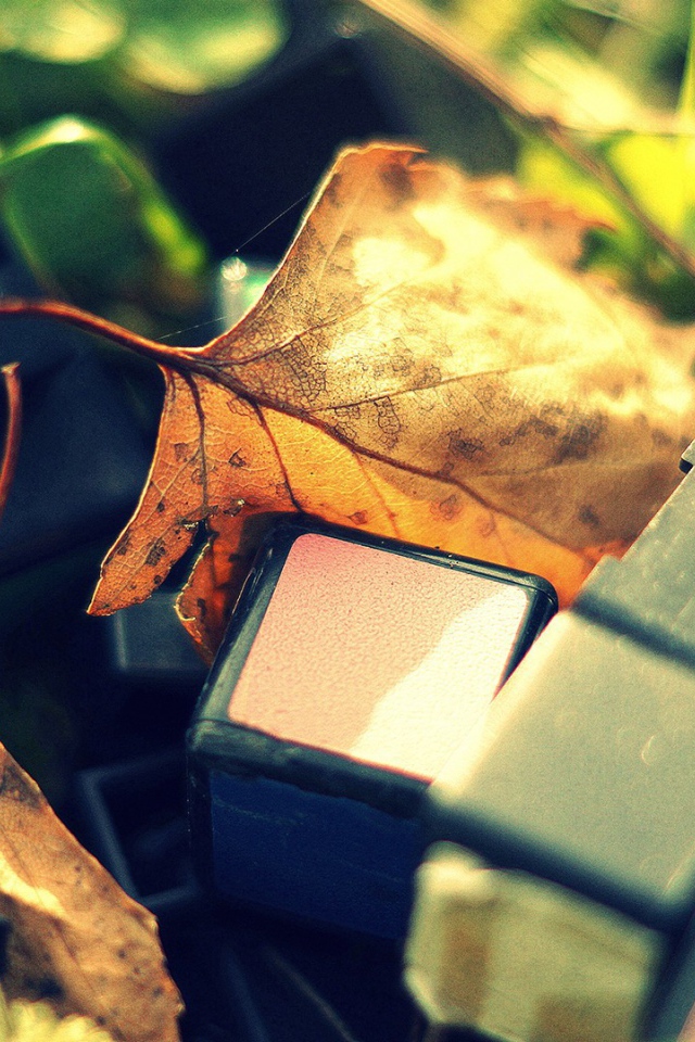 Обломки от кубика Рубика лежат среди листьев