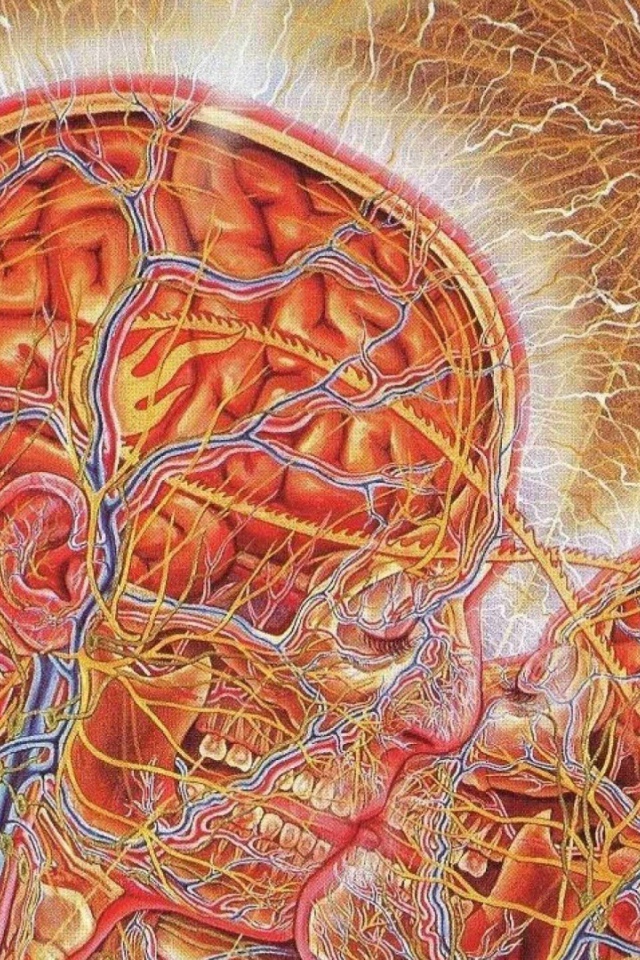 Настоящая химия любви