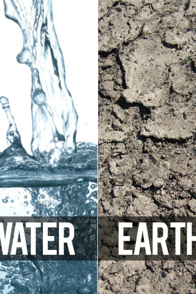 Три стихии и медведь