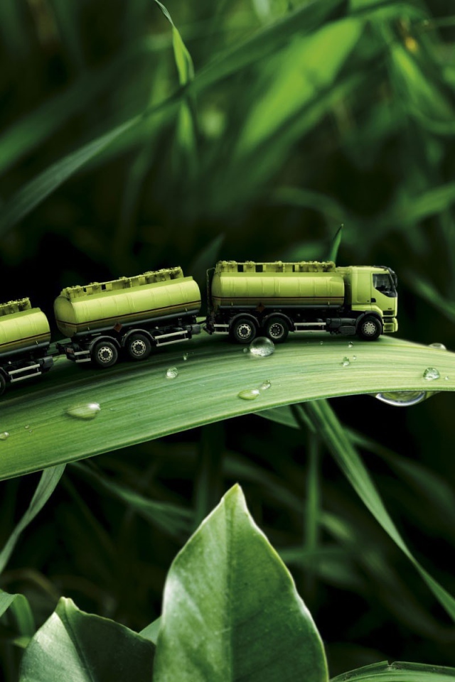 Игрушка на траве