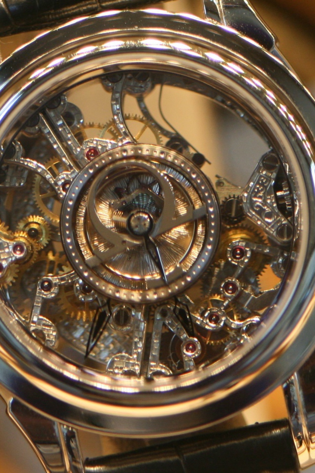 Прозрачный корпус дорогих часов