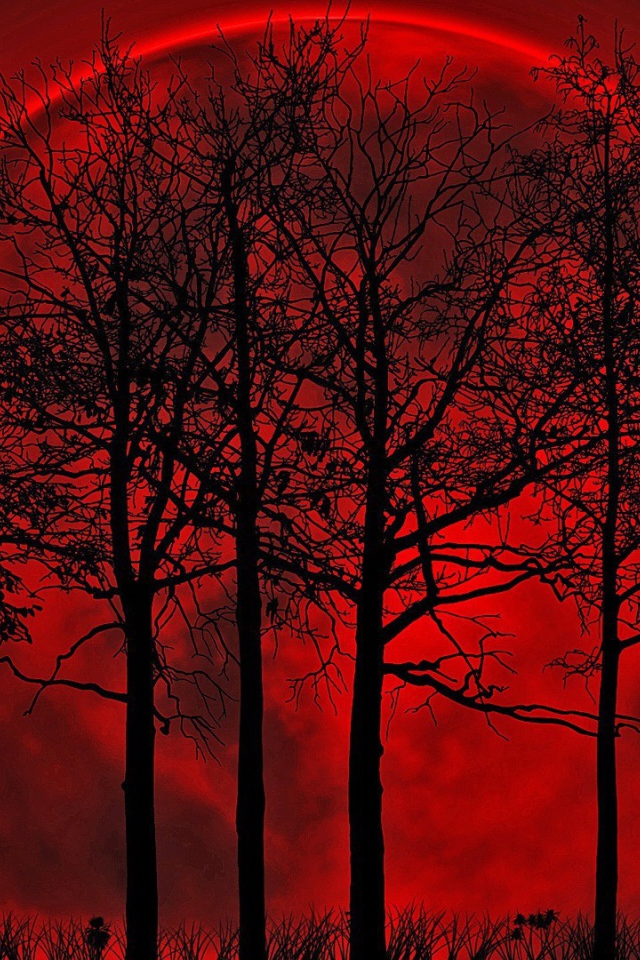 Деревья на фоне кровавой луны