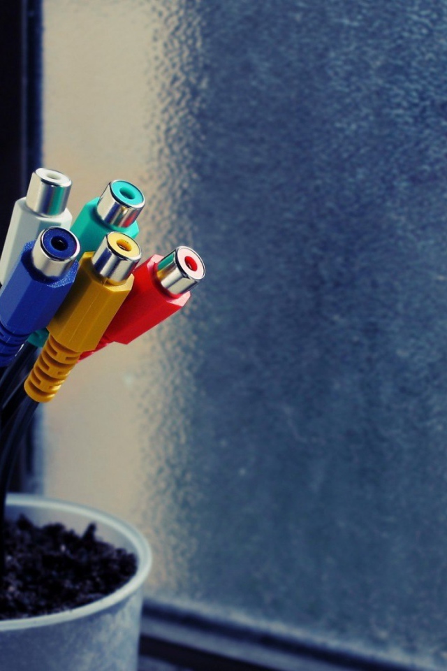 Тюльпаны в горшке