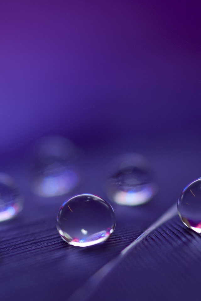 Капли воды расположились треугольником