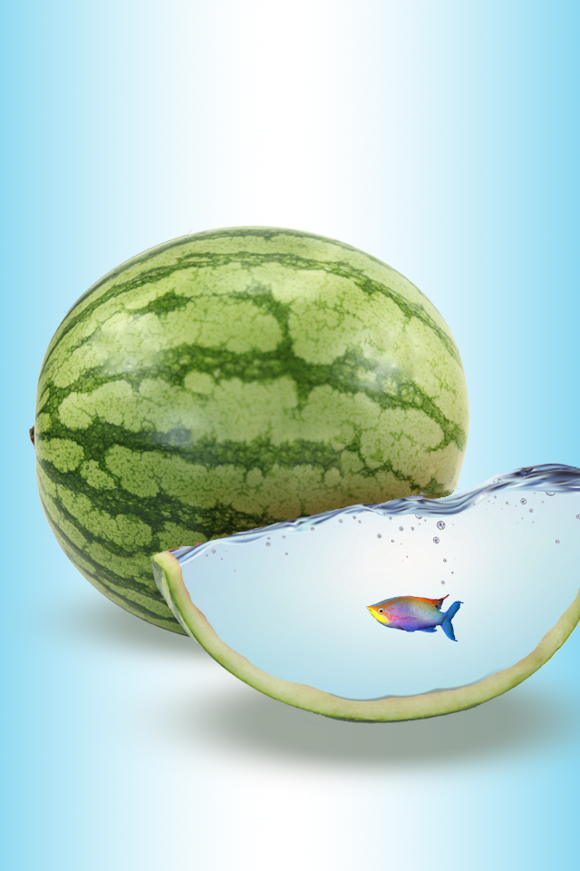 Watermelon as an aquarium