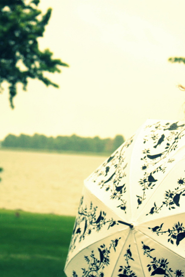 Белый зонт с птицами