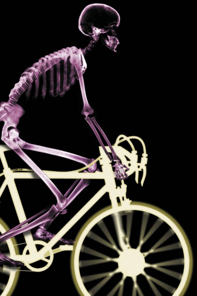 Рентген человека на велосипеде