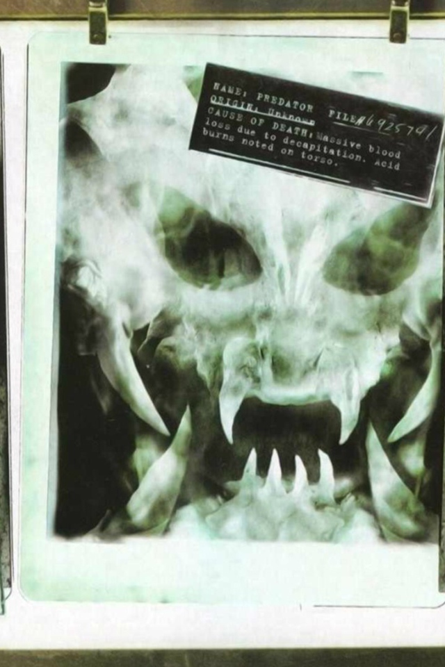 Рентгеновские снимки опасных созданий