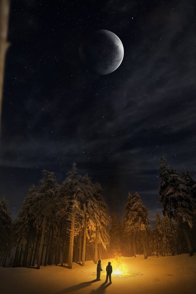 Костер в лесной чаще