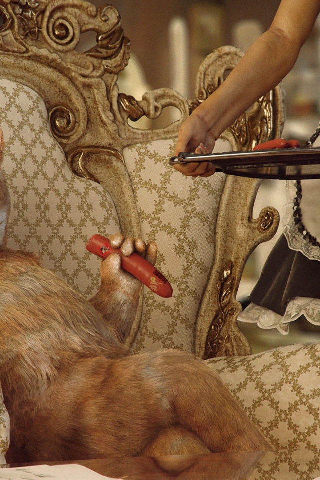 Кот аристократ в богатом доме