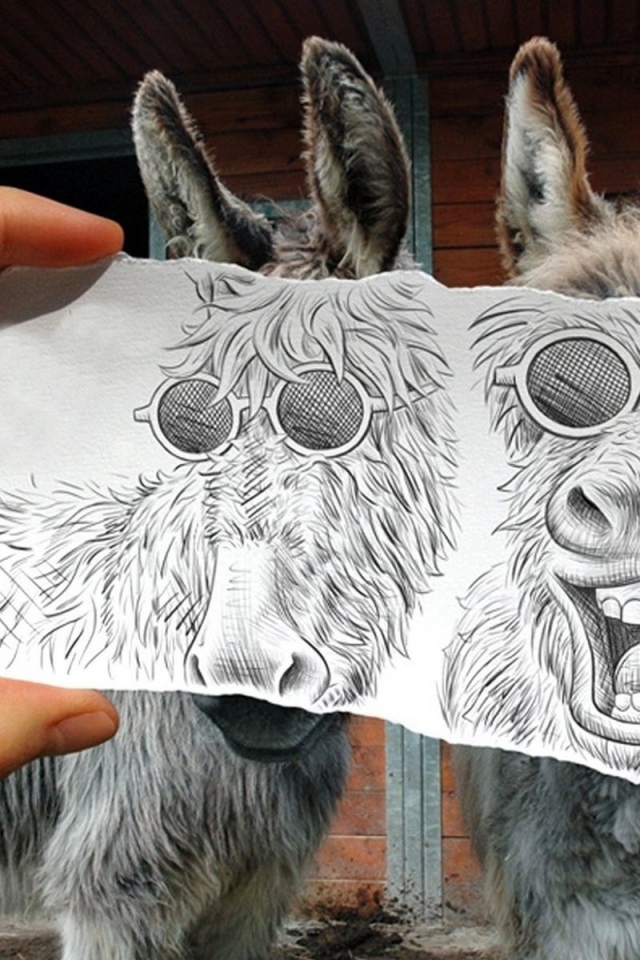 Рисунок поверх фото ослов