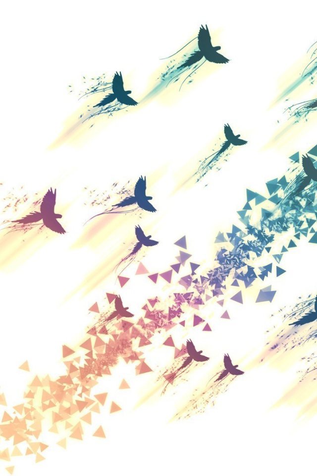 Нарисованные птицы на белом фоне