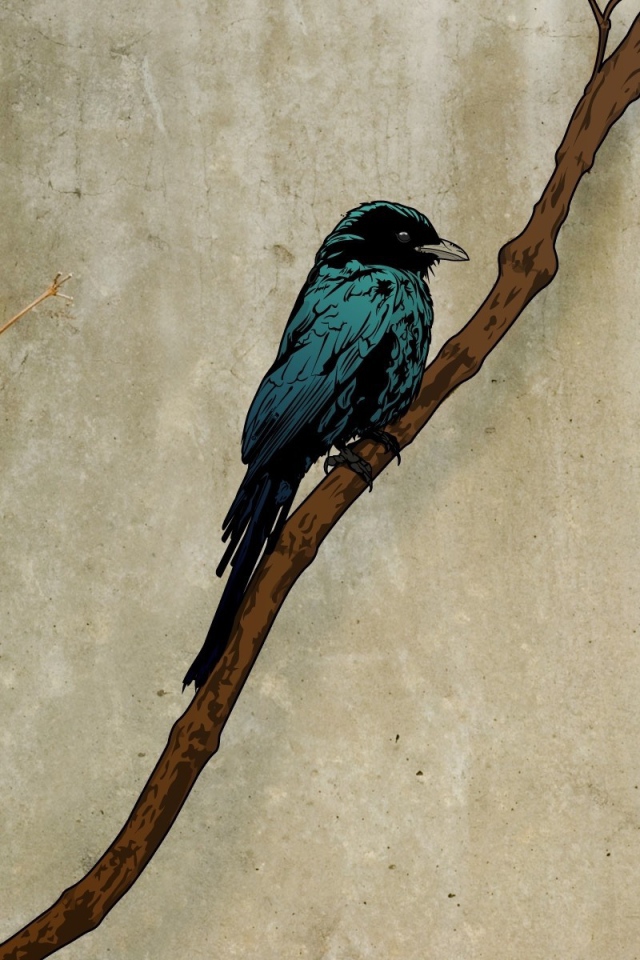 Грач на ветке, рисунок на пергаменте