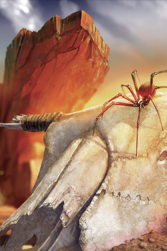 Паук на черепе