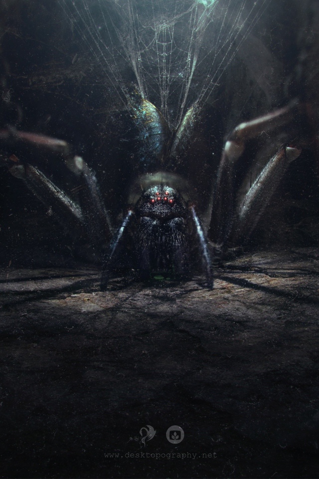 Огромный паук в своем логове