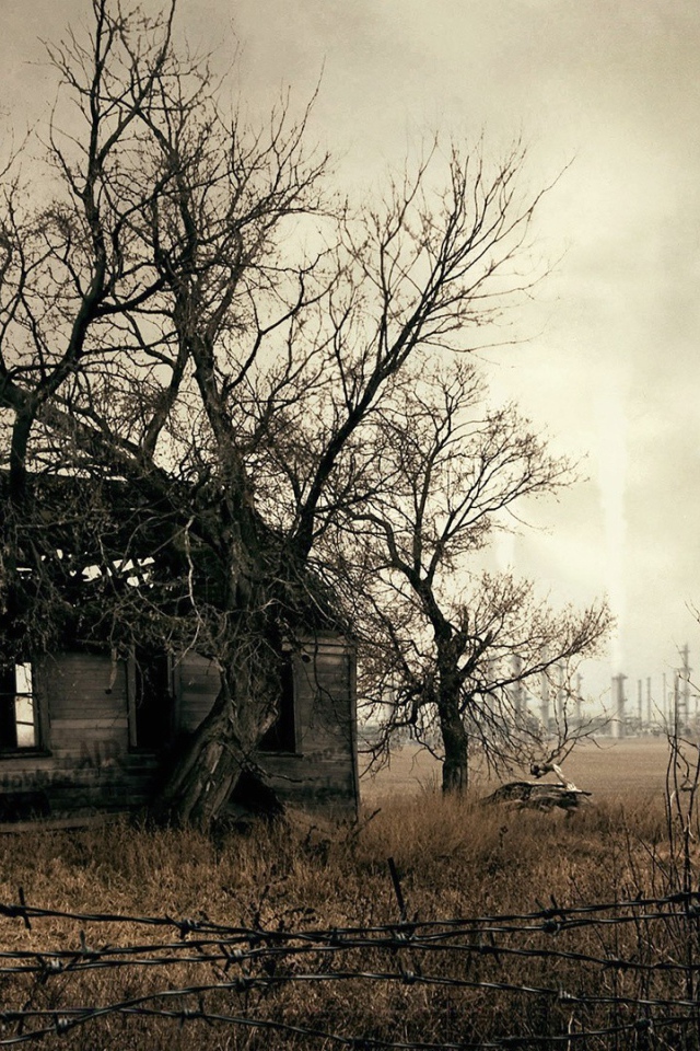 Заброшенный дом в опасной зоне