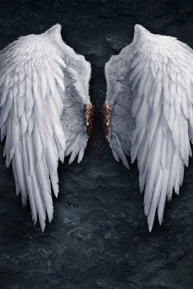 Крылья ангела на черном фоне