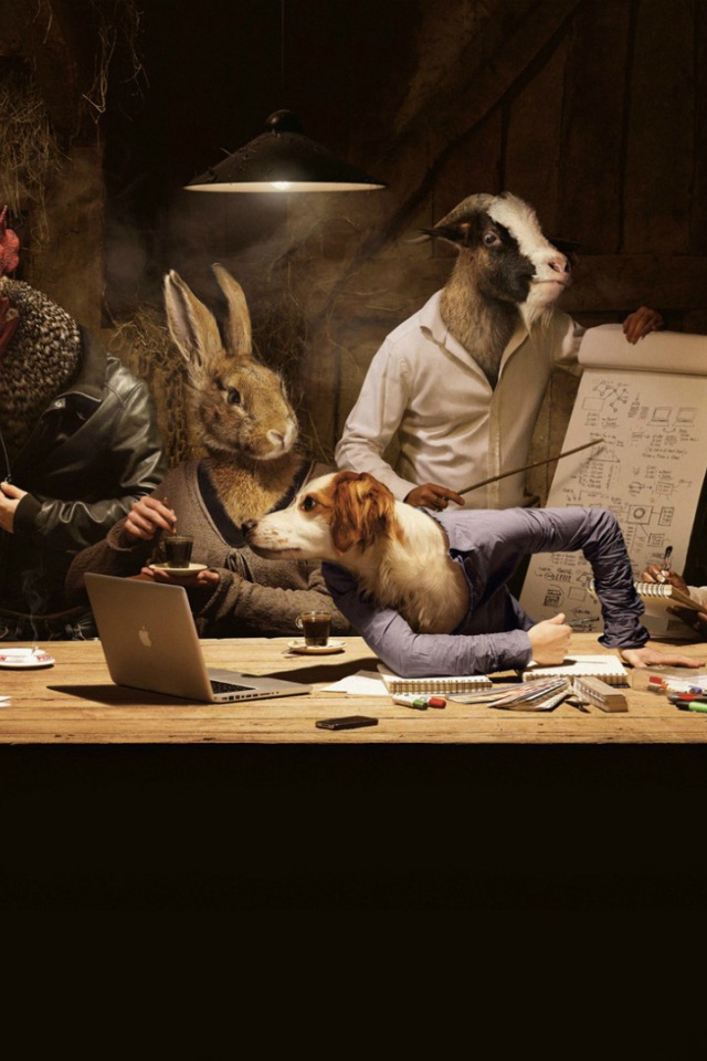 Животные на совещании