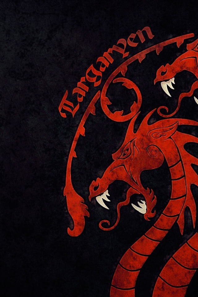 Китайский дракон на черном фоне