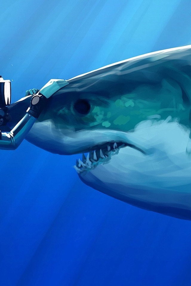 Дайвер гладит акулу